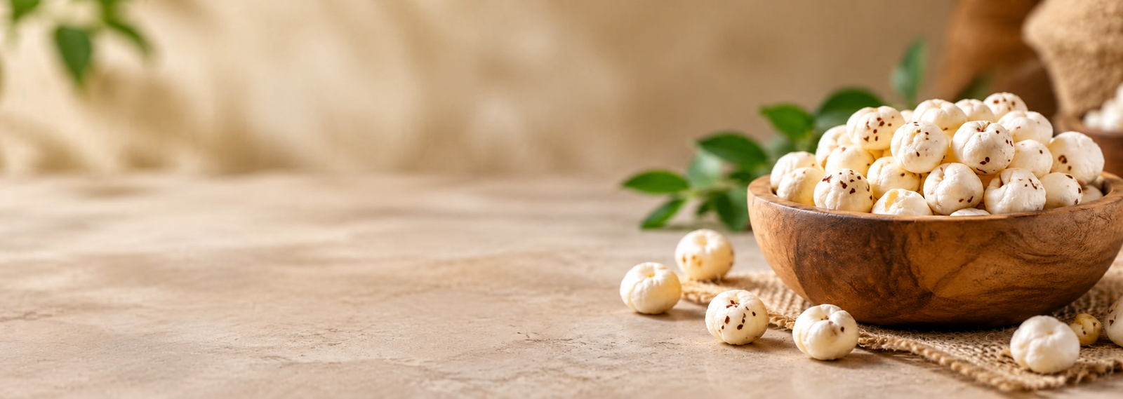 Makhana Wholesaler in Delhi